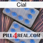 Cial 20